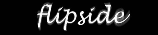 flipside.jpg (8505 bytes)
